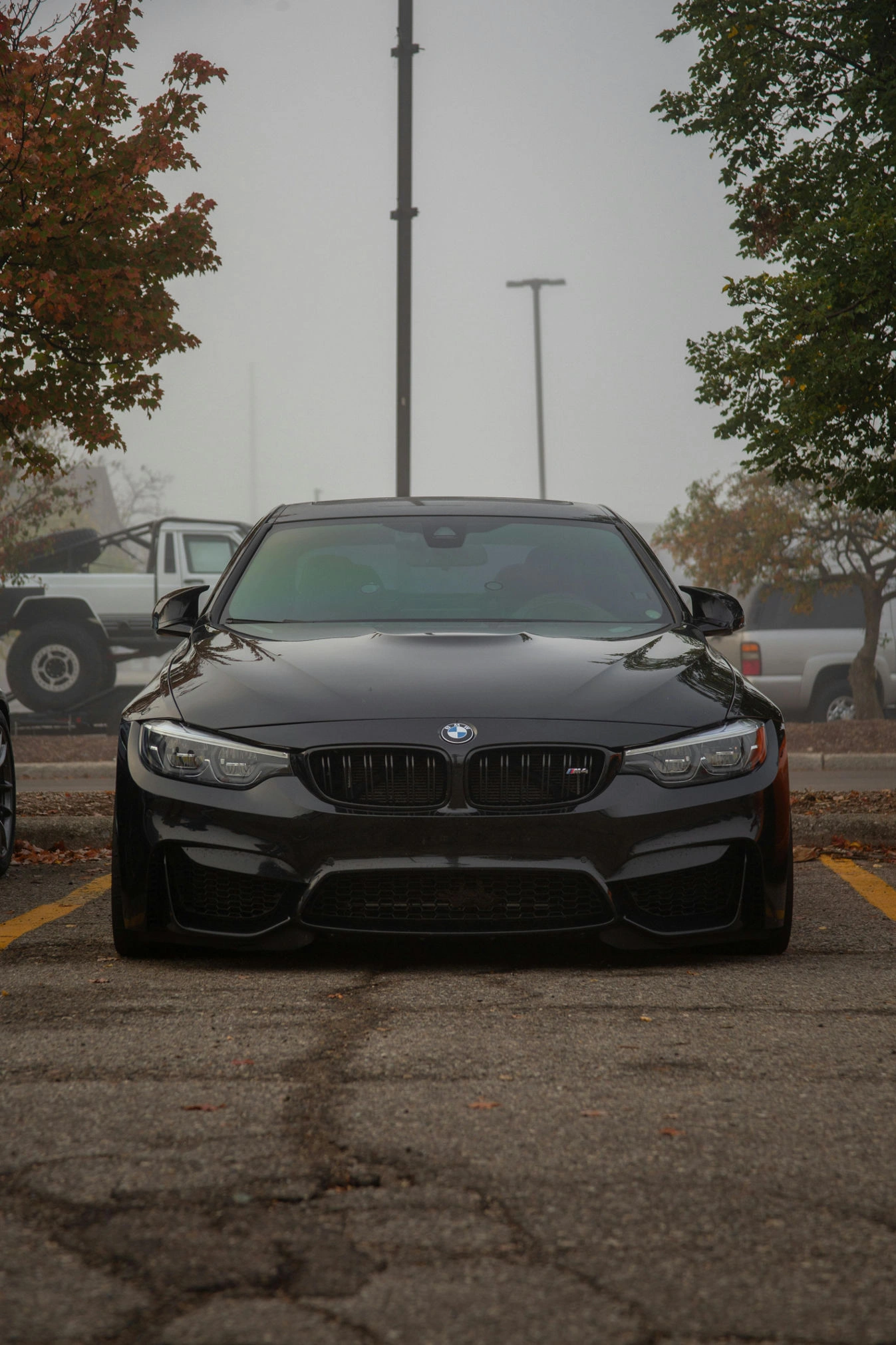 Airport Luxury Car 